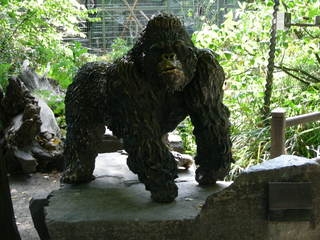 Gorilla Kaisi